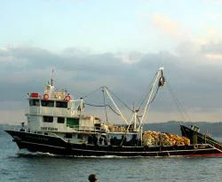 Romanya'da 20 Türk balıkçı gözaltında