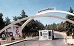 4 günlük bebeğin karnından 3 cenin çıkarıldı