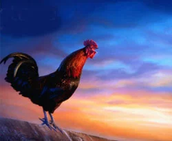 "Afedersin Şehrazat"