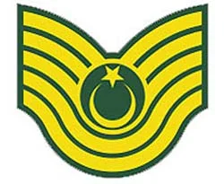 Bir astsubay ordudan atıldı