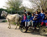 Bu da at arabalı taşımalı eğitim sistemi!