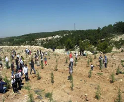 Genç işadamları hatıra ormanı oluşturdu