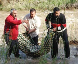 Irmağa düşen gencin cesedi bulundu