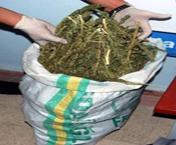 Polise saldıran Esrar satıcısının kolu kırıldı
