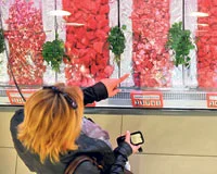 Türkiye ,et ithalatını başlatıyor!