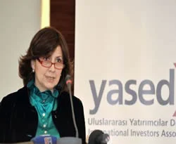 'Türkiye önceliklerinden uzaklaşıyor'