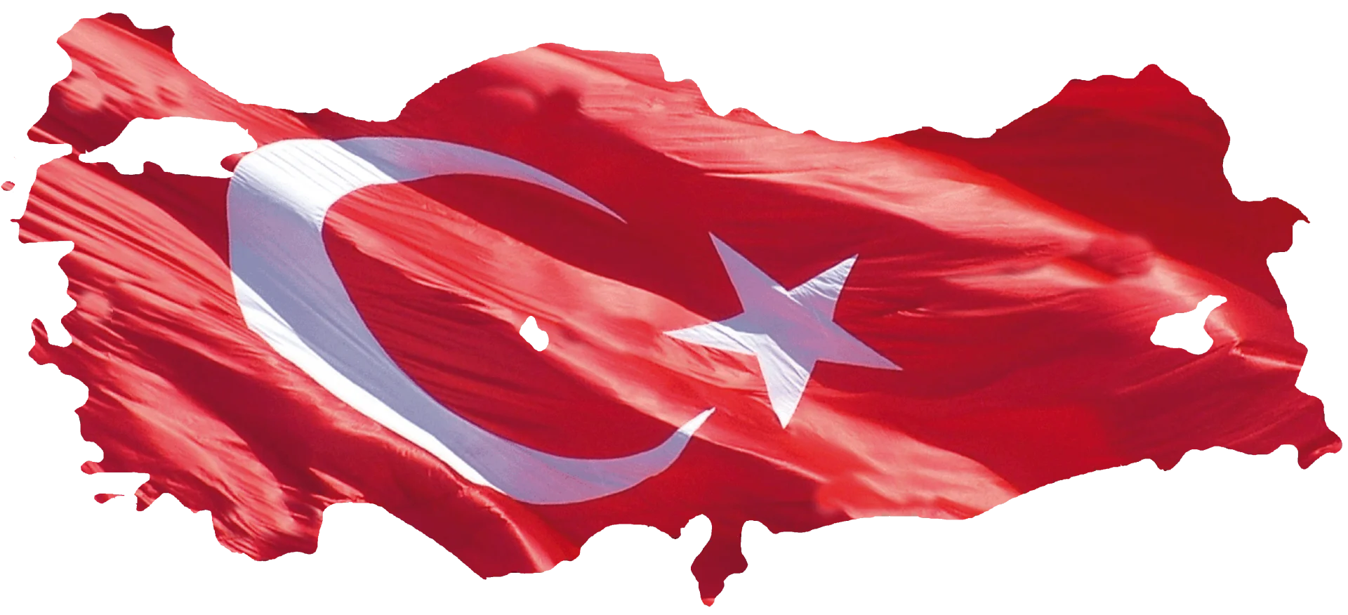 Arapların ve Türklerin kan birlekteliği