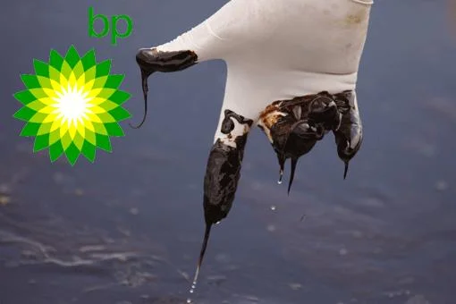 BP'nin cezası kesildi