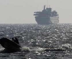 Dünya medyası: NATO neden engel olmadı?