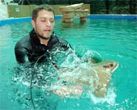 Köpek balıklarıyla yüzmek için para ödüyorlar