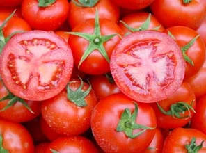 Suda domates yetiştiriyorlar