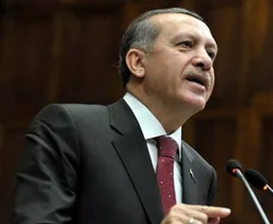 Başbakan: Profesyonel ordu kurulacak
