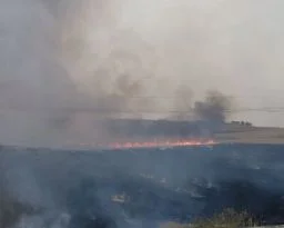 Cam kırıkları anız yangınlarına neden oluyor
