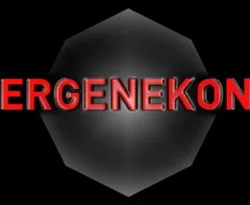 Erzincan Ergenekonu hukuki terör estirdi!