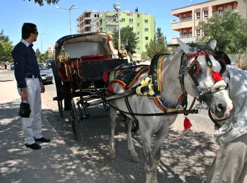 Faytonla Midyat turu başlıyor