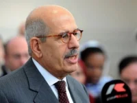 Müslüman Kardeşlerden Baradey'e destek