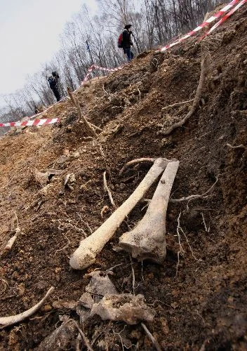 Stalin kurbanlarına ait 3,5 ton kemik bulundu
