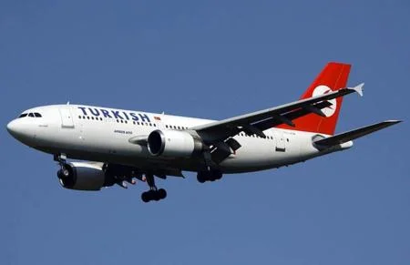 THY uçağı New York'a inişinde kuş sürüsüne girdi