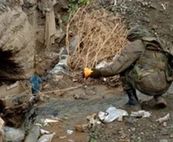 Tokat'ta PKK'ya yönelik tasfiyeler sürüyor