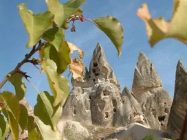 Turistler imama değil, rehbere uydular
