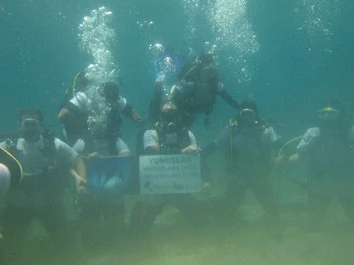 Yunuslar için Saros Körfezi'ne daldılar