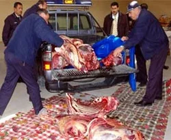 1 ton veremli et piyasaya sürülecekti