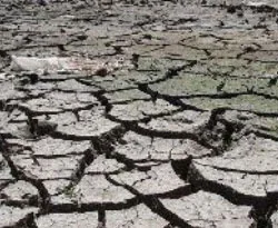 Aşırı sıcaklar çayı kuruttu