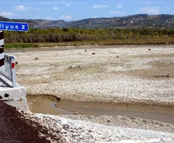 Aşırı sıcakların kuruttuğu çay yatağı, otlak oldu