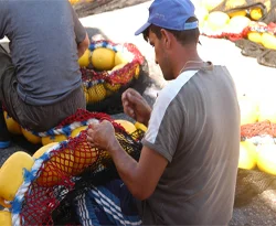 Balıkçılar 1 Eylül'de 'Vira Bismillah' diyecek
