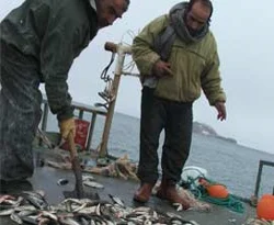 Balıkçılar yeni sezondan umutlu