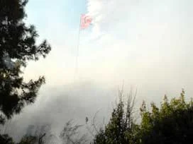 Bergama'da yangın