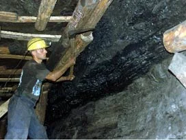Bolu'da linyit kömürü sahası satılıyor