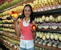 Edirne sabunu dünyaya açıldı