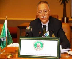 Ekmeleddin İhsanoğlu, Pakistan'a gidiyor