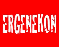 Ergenekon'u TSK için planı!