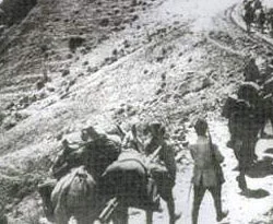 İran'dan Ermeni soykırımı yalanlaması