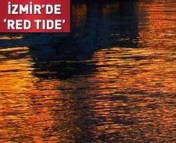 İzmir'de denizin rengi değişti