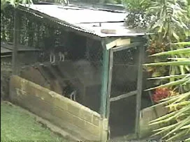 Köpek kulubesinden uyuşturucu çıktı
