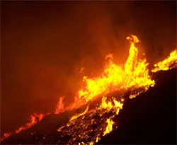 Mersin'de 20 hektar orman kül oldu