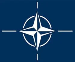 NATO, Afganistan'da 6 çocuğu öldürdü
