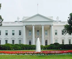 Obama'nın ekonomi danışmanı istifa etti