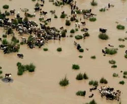 Pakistan'da 4 milyon kişi selden etkilendi