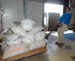 Pakistan için köyünde 6 ton buğday topladı