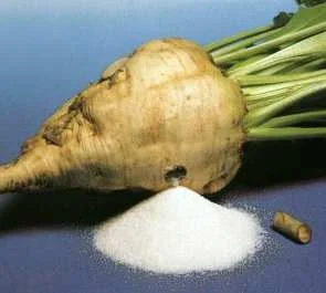 Pancar ekicilerinin "kaçak şeker" sorunu