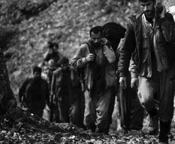 PKK'nın kime hizmet ettiği belli değil