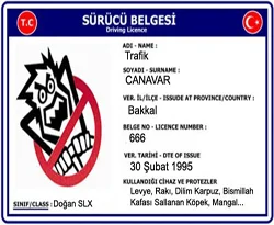 Yeni ehliyet alanlar, 2 yıl 'stajyer sürücü'