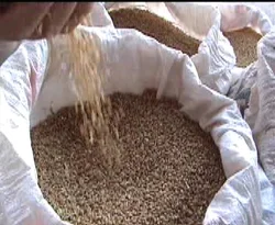 60 ton buğday kül oldu