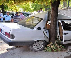 Bayramda can pazarı!