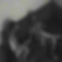 Bu kaset de MHP'yi eritti