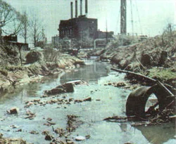 Dereleri kirleten fabrikalar kapatılacak